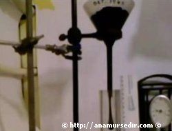 D�NYANIN EN UZUN DENEY� SONA ERD�