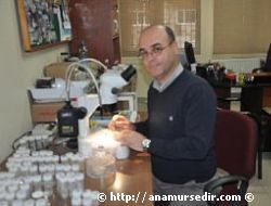 3 YEN� CANLI T�R� DAHA BULUNDU