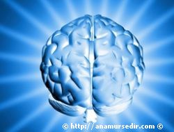 �NSAN BEYN�N� TAKL�T EDEN ��P