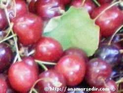 Aspirinden 10 kat etkili