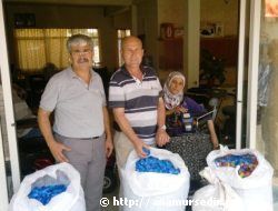 MAV� KAPAK DESTE��