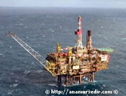 TPAO KIBRIS'TA SONDAJA BA�LIYOR