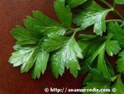 Bu besinler ya� d��man�!